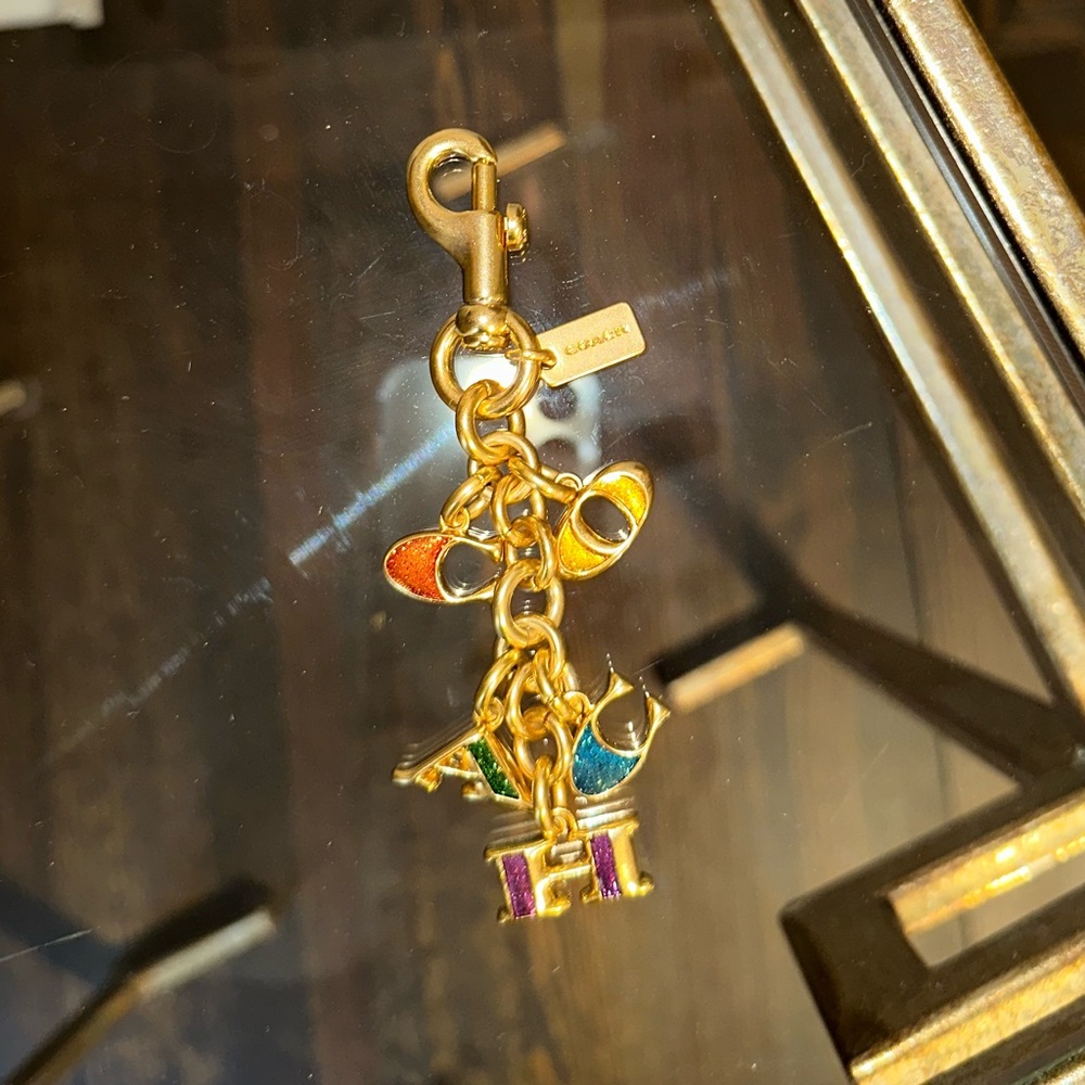 NWOT- Rainbow COACH key fob